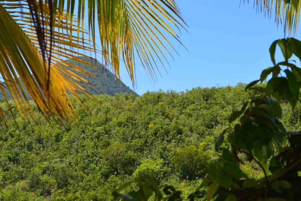 La Villa Coconut Vue A 180° Mer Rocher Du Diamant Le Diamant Exterior photo